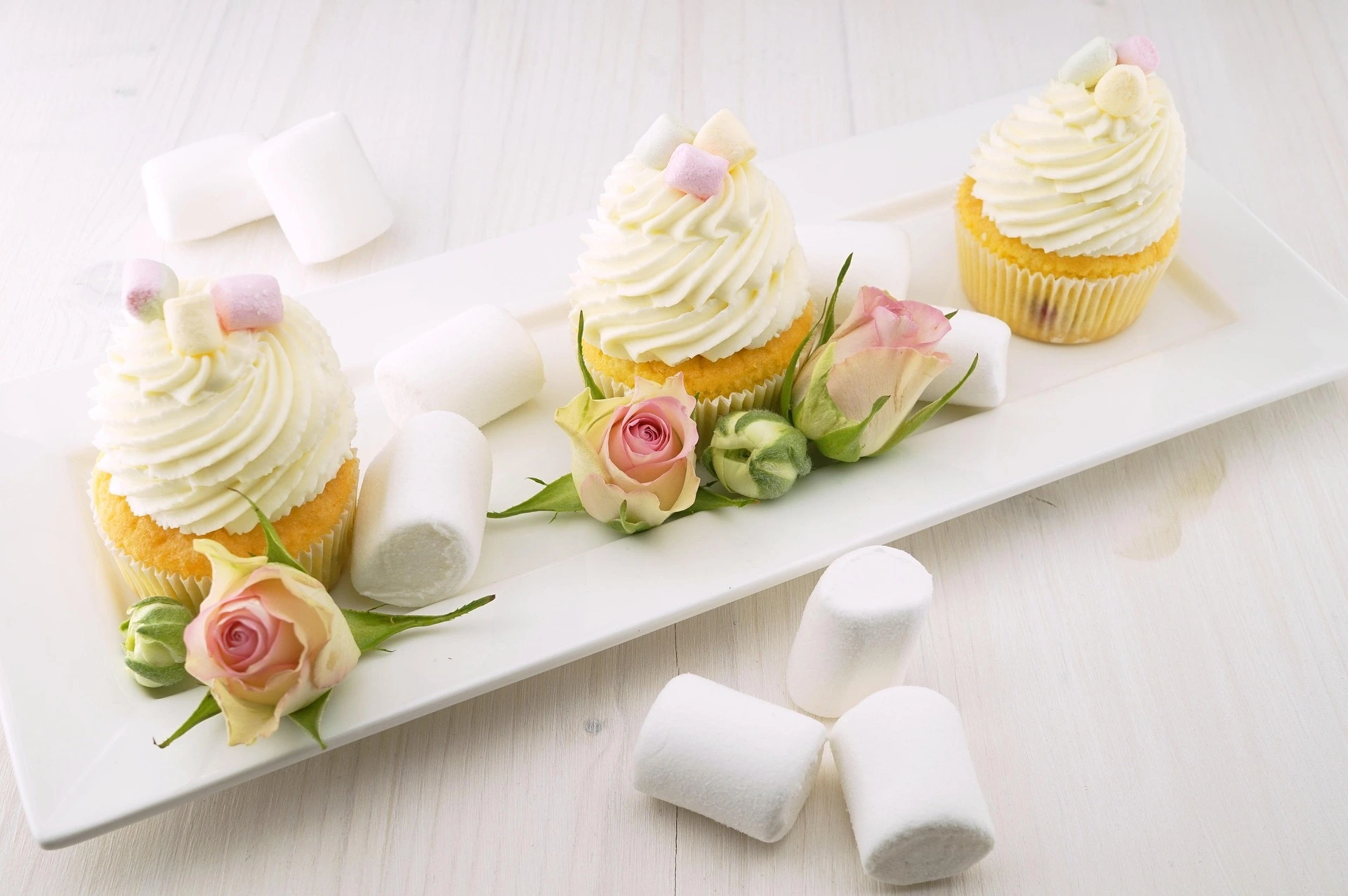 Vanilla Cupcake