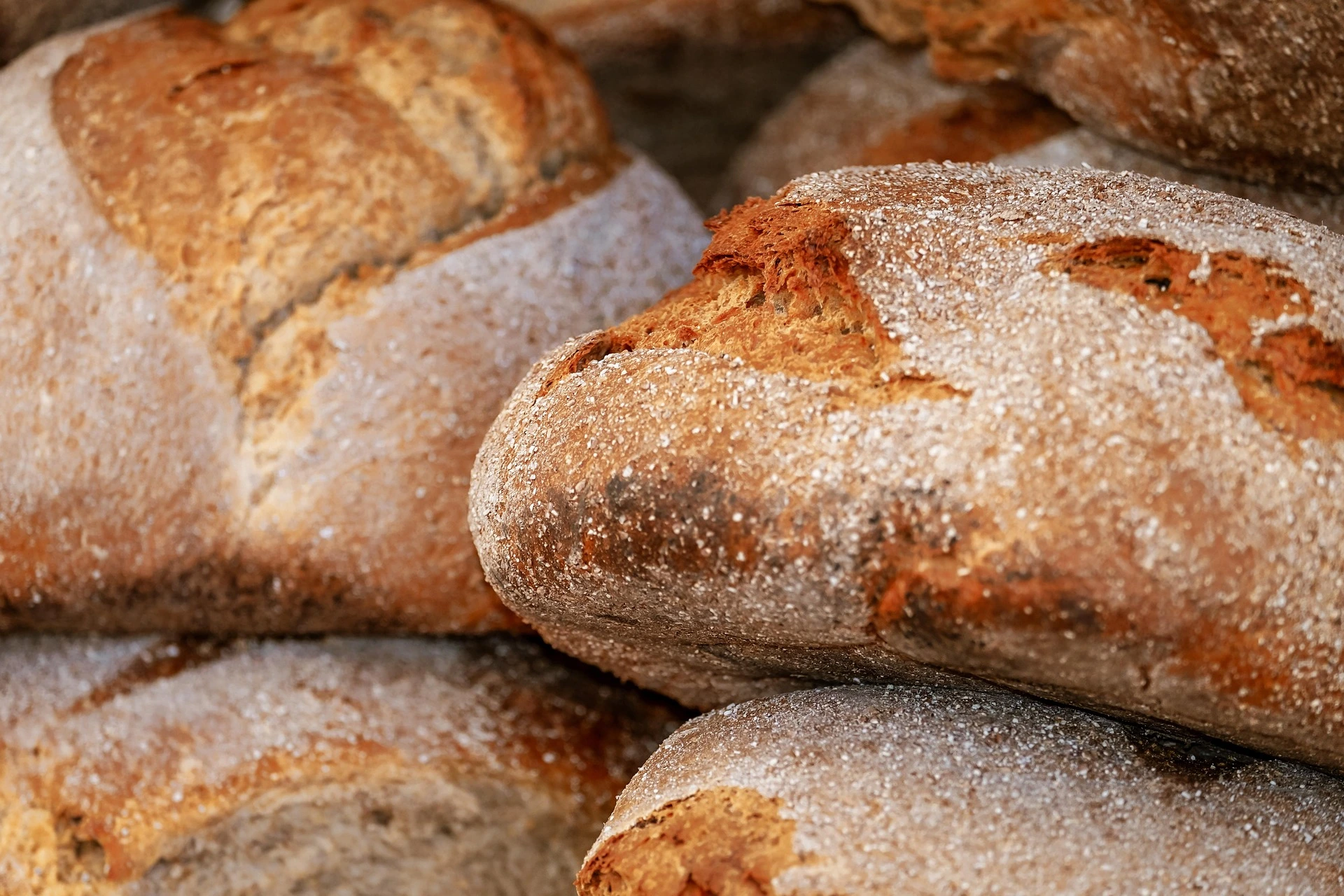 Barley Bread
